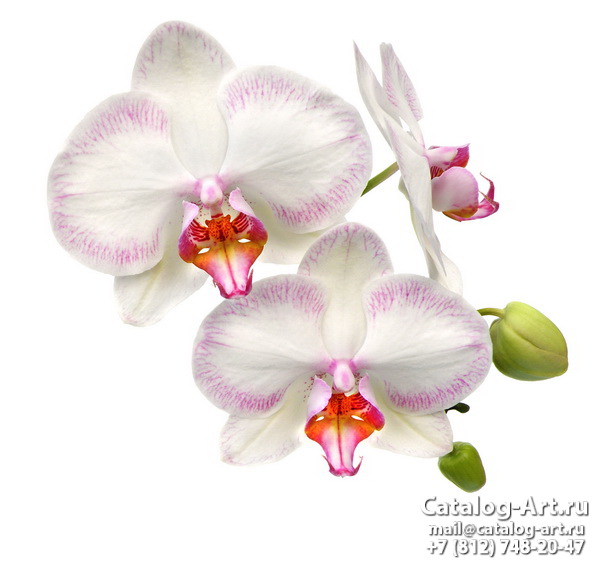 Натяжные потолки с фотопечатью - Розовые орхидеи 34